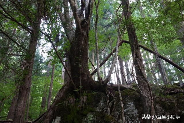 索尼 RX1R III 评测——口袋里的高品质街拍相机