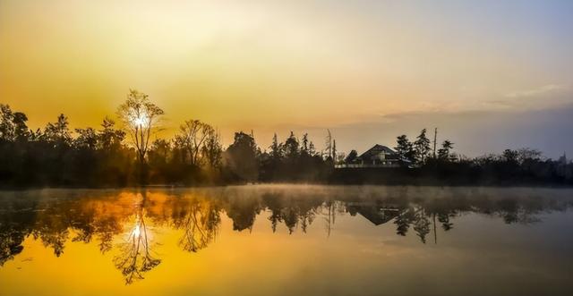 成都周边“天花板”级的银杏园，闯进金色秋日童话世界，拍照超美
