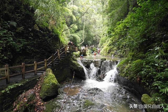 “渝黔生物基因库”黑山谷游记