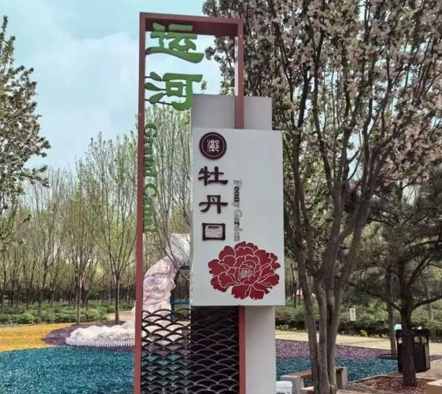 北京大规模芍药花海走红，20万株芍药绽放，还能采摘，免费！