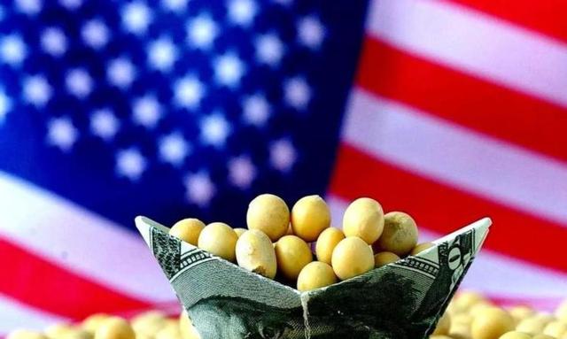趁火打劫！巴西大豆对华猛涨价，买家集体暂停订单，静待2个时机