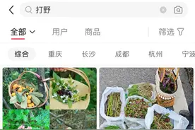 上海“打野”地图全网爆火，挖野菜成踏青首选？专家提醒：有风险！图片