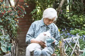 老太太逆袭人生，犀利一击，让你热血沸腾！图片