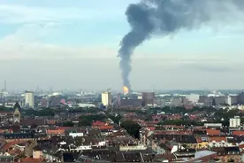 德国一化工厂爆炸，全球维生素价格为何暴涨4倍？图片