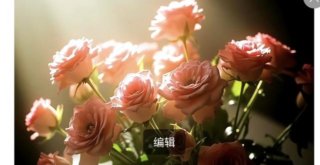 相遇一场，思念一生，入了心的你，怎能轻易忘记？