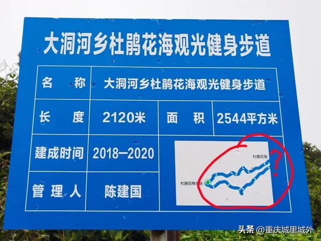 一脸懵两眼黑，才识武隆赵云山，不知是谁乱改名！