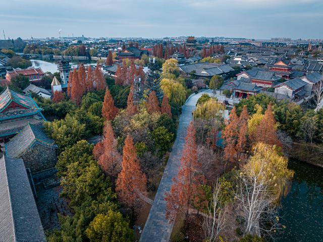 古城杉树运河魂