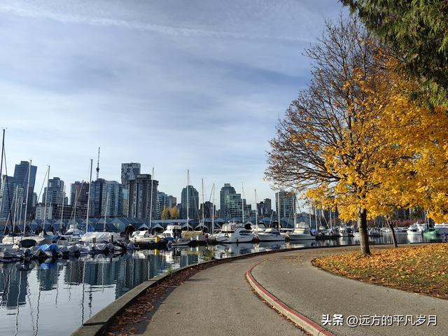 温哥华游记（四）