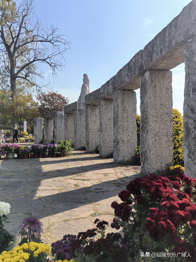 常州城东横山桥白龙观 冬日菊花节 采菊东篱下，悠然见横山
