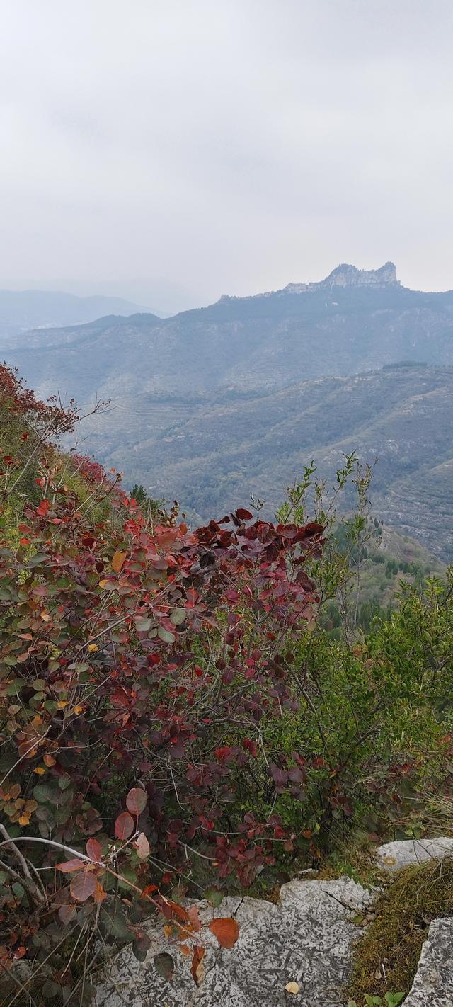 探访博山源泉郑家庄月亮门象鼻子山