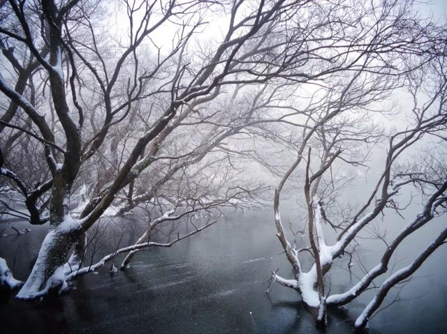 又来？这样的随州，你见没见过？