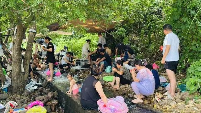 40分钟车程要开2小时，杭州这里每天下午“长”满了人！当地紧急提醒