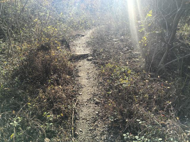 南京龙尚湖，大连山，佘村一日郊野徒步