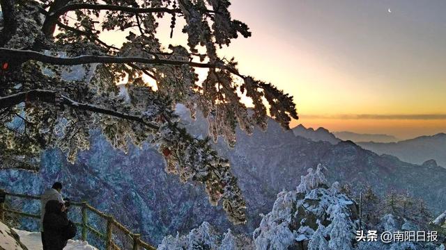 南阳的冬日仙境在这里！
