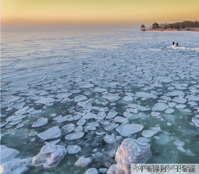 惊艳!秦皇岛海冰迎来最佳观赏期,限定美景别错过!