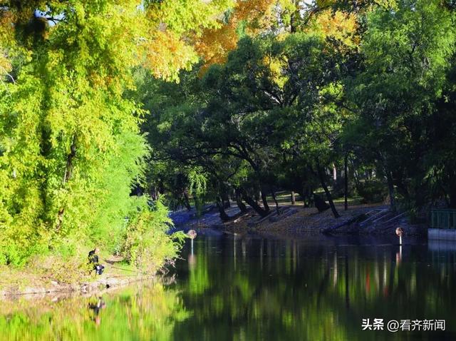 鹤城“顶流”！每年超千万人来打卡