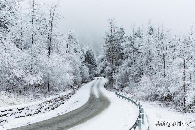 “春节冷不冷，就看冬至”，明日冬至，2026年春节特别冷吗？