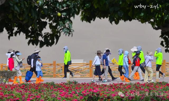 快来看，大漠敦煌又一波花海来袭