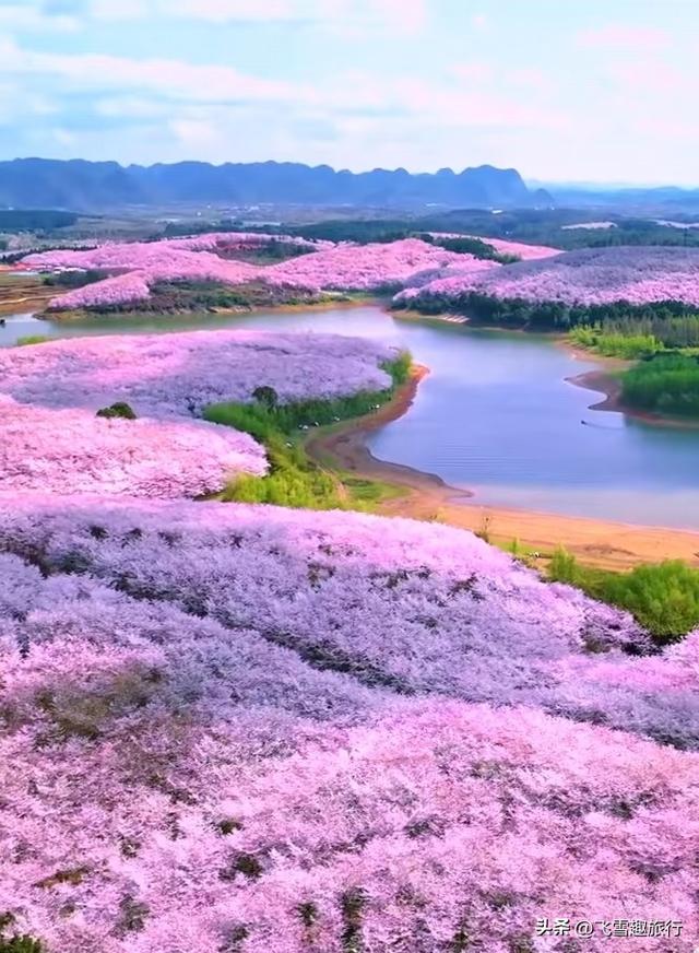 春暖花开，正是赏花好时节，这份三月赏花路线图请收好