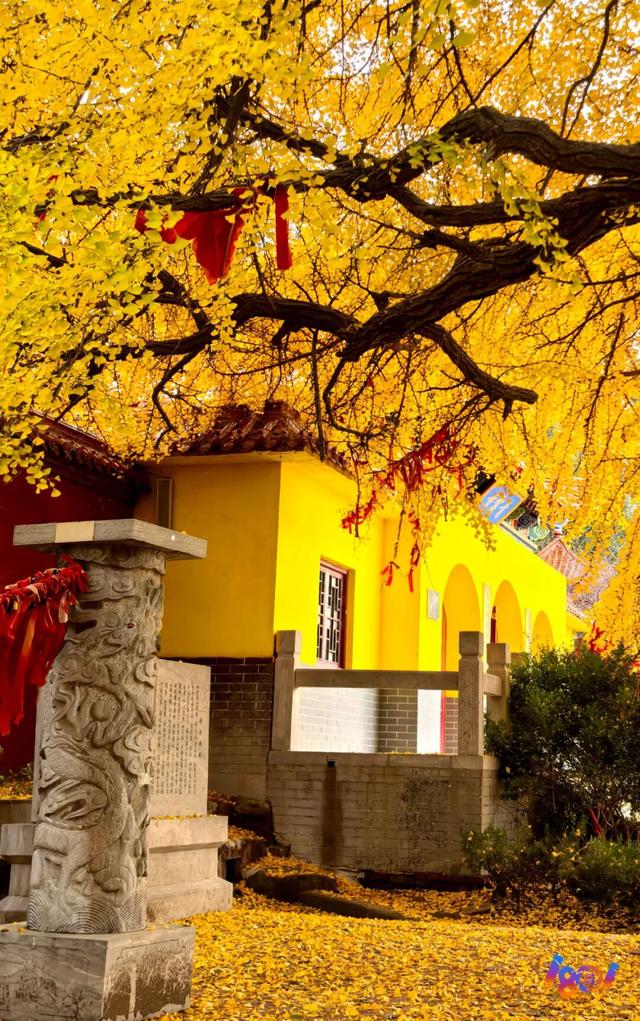 顶流“约会”，主角2500岁 ！潍坊安丘城顶山！