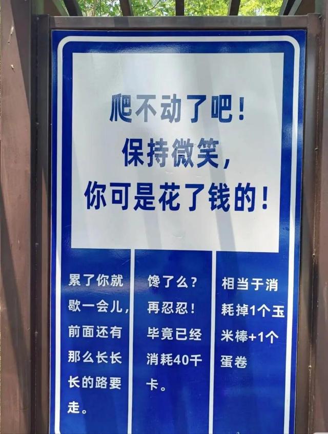 多地游客爬山遇到魔性“加油”牌：“爬不动了吧，哈哈哈哈哈”