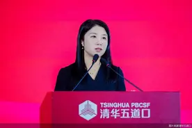 支付机构要在业务尺度上保持一致性，连连国际联席CEO谈跨境支付图片