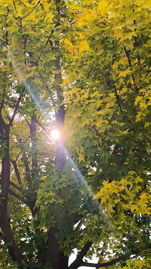 这么近那么美~猜猜这是哪？