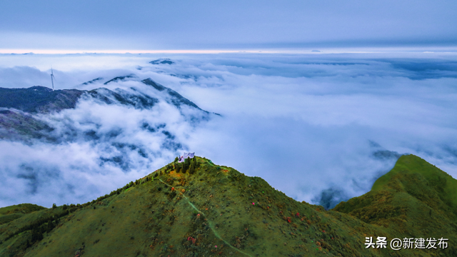 11月灵华限定！藏在深山里的“金色童话”