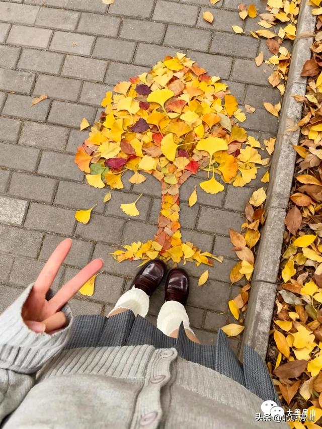 橙黄橘绿满山野,这场“捡秋”之旅别错过!