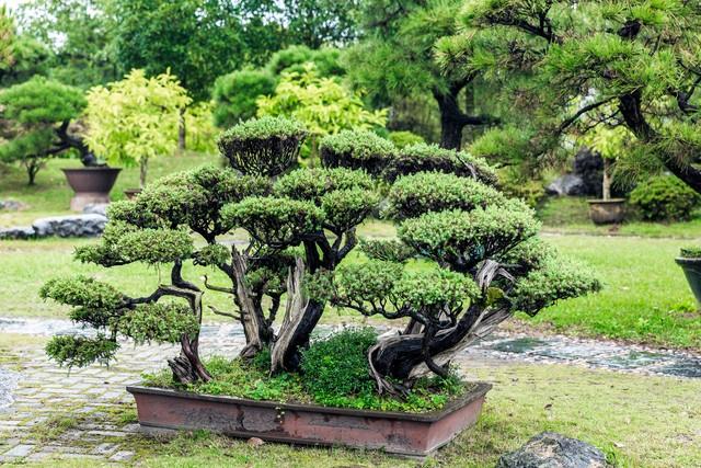 夫妻到了晚年，只要是“分房睡”，大都逃不过3个原因