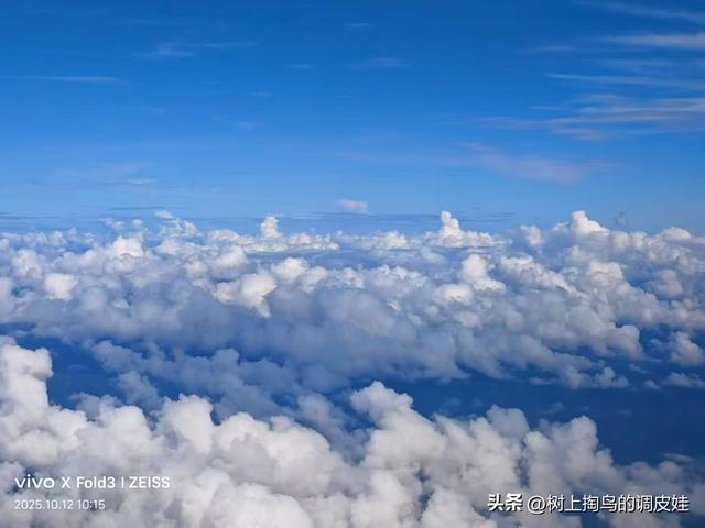 45 岁后家庭出游，星级酒店为何成首选？