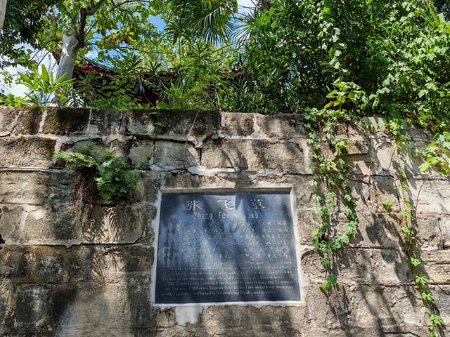 四川旅游：二访阆中古城行散记（图）
