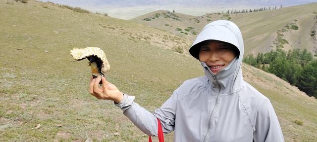 哈密43℃，奔向天山北坡伊吾森林纳凉，欣喜采6公斤蘑菇