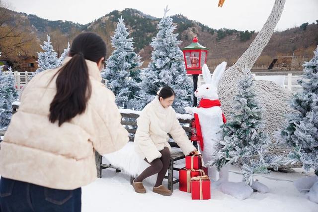 2026“马”年免费福利、吃临沂炒鸡送门票、年卡……千万别错过！