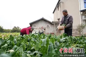 枝江一女子坚守48年为聋哑家庭筑起温暖港湾图片