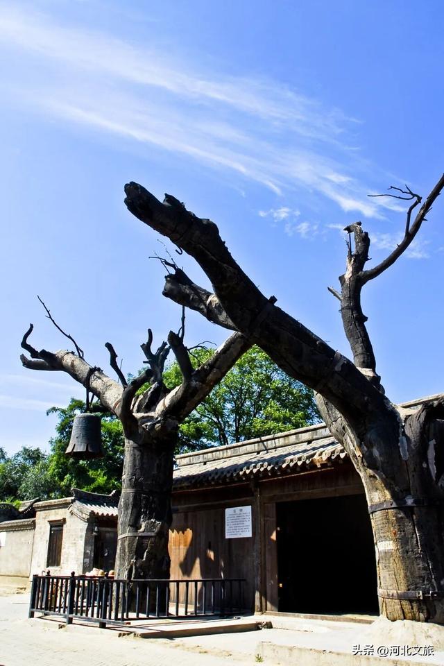 “磕”学来了！你觉得哪些保定景点最具CP感？