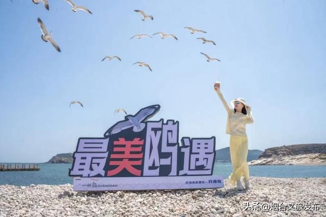 【乐游烟台】乘船可达！烟台度假必冲的神仙海岛，美疯了！