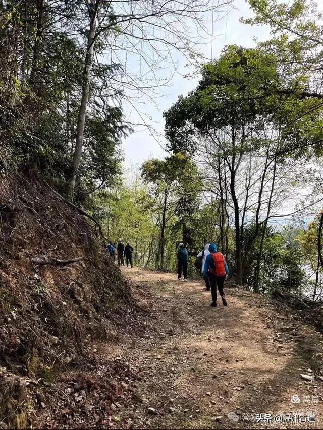 藏于浙江5A景区内有一处“十里铁甲龙”,洞穴众多形态奇特