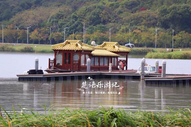 绍兴上虞的千年古湖，竟成了“绍兴的小镰仓”？真实情况原来这样