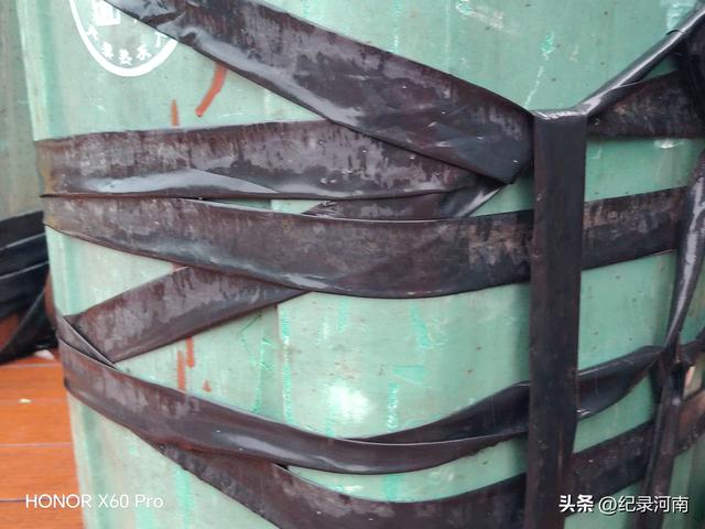 七上八下全国文明城市柘城县迎来汛期，晨练国家湿地公园榕湖发现