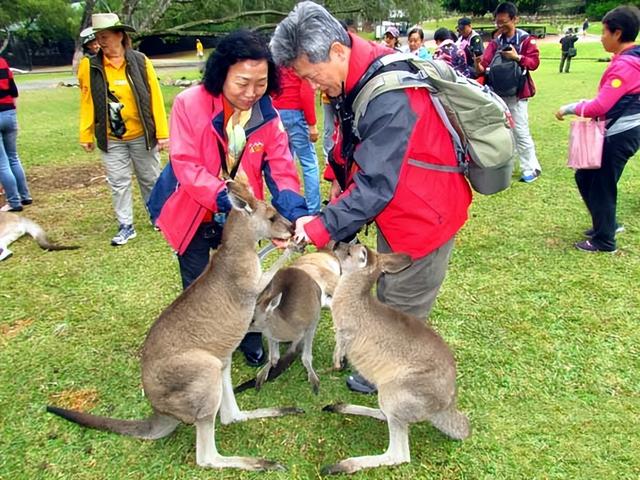 大洋洲旅游：澳大利亚昆士兰州行散记（图）