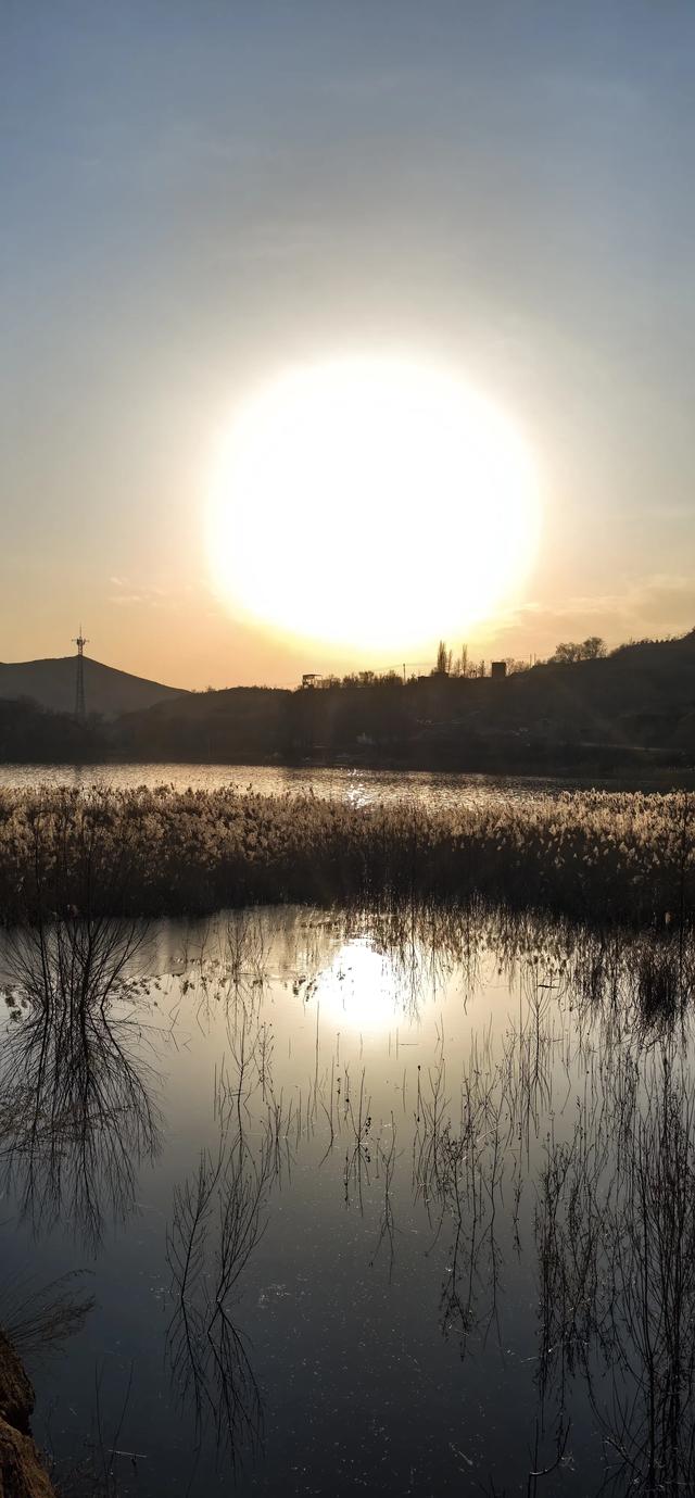 宣化瓦窑头水库芦苇成片，水天一色值得观看
