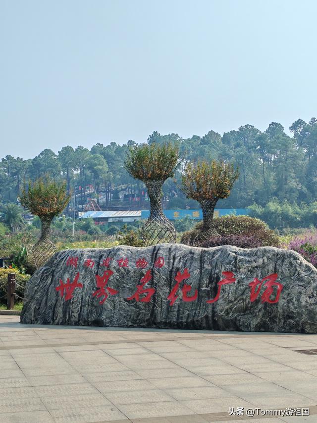 开着房车去流浪：打卡湖南省植物园