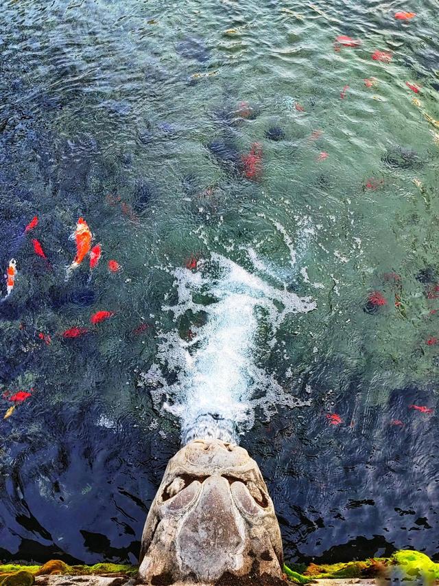 生生不息的黑虎泉
