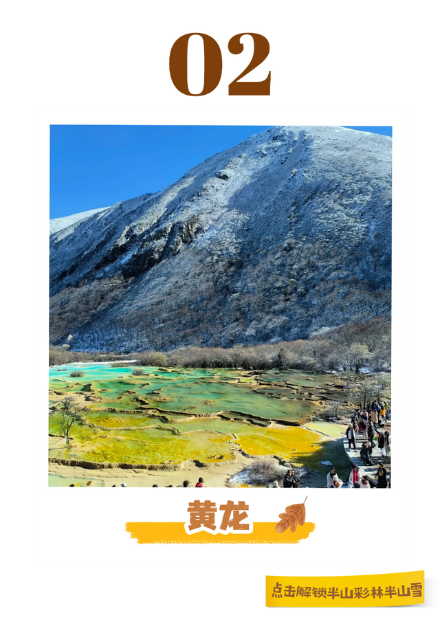 半山彩林半山雪！现在的阿坝美的我眼前一亮又一亮！