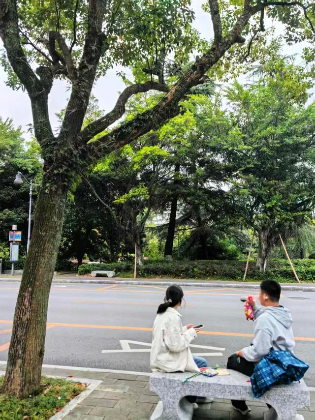 桂林:最是初冬晴午后!