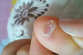 神秘的趾甲！我可能不是纯正汉人？而是他们的后人图片