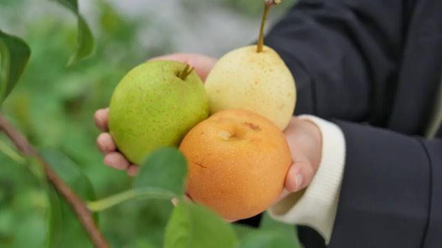 “十一”没耍够？别急，还可以去这……