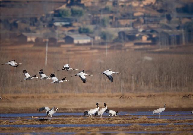 四川省布拖县历史沿革及行政区划