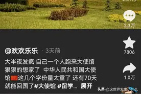 在外留学生想家时跑大使馆门口哭，评论区网友大破防图片